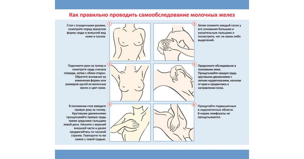 Пальпация молочной железы презентация